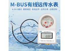 黃銅閥控有線遠傳水表